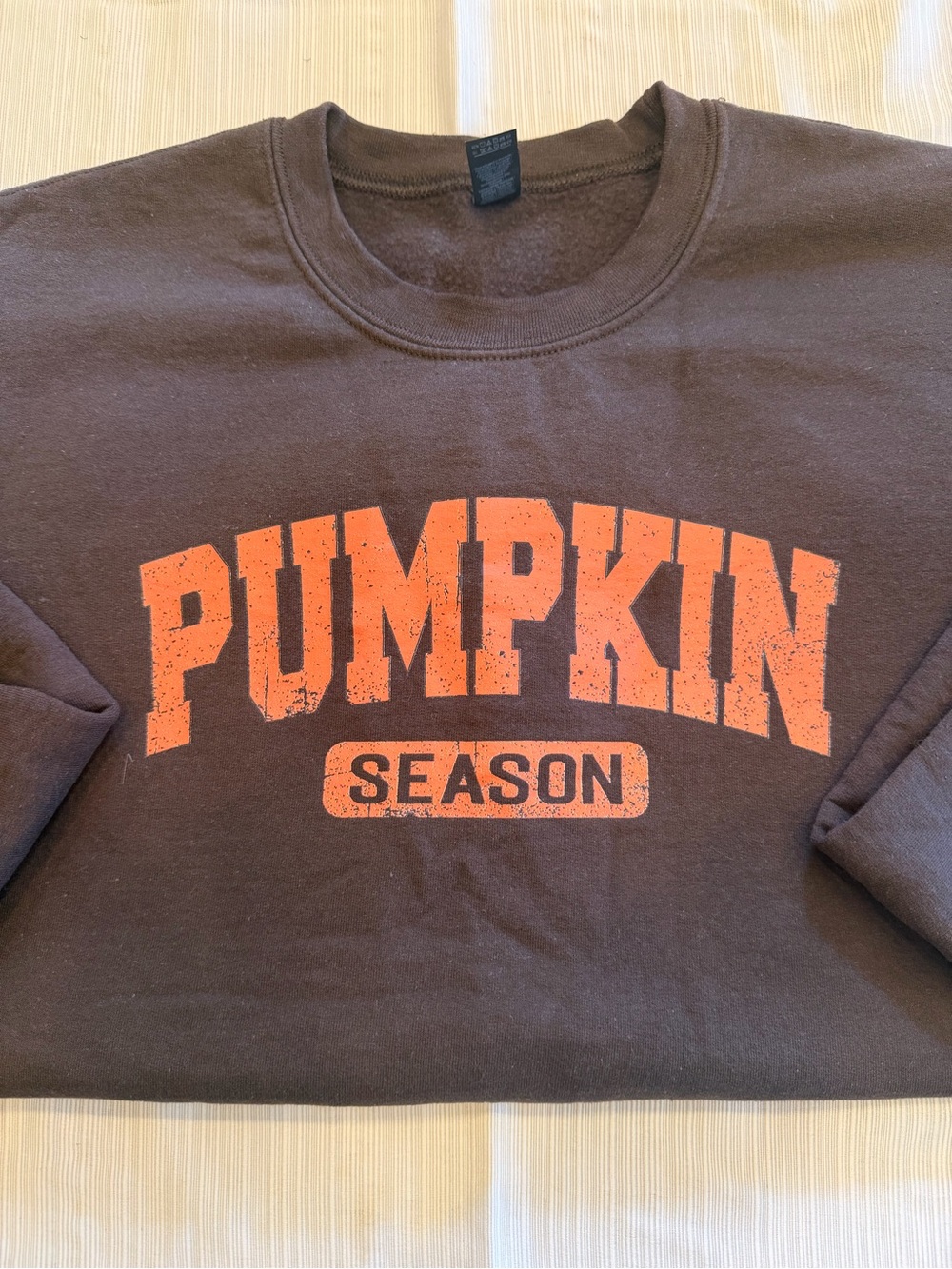 Gildan Brown Sweatshirt with Orange "PUMPKIN SEASON" Graphic